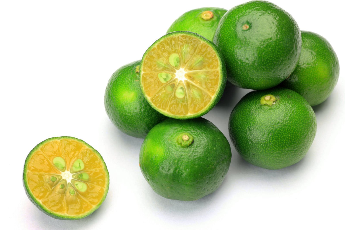 Shikuwasa Citrus Sencha