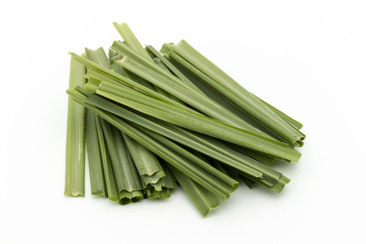Shikuwasa Citrus Sencha